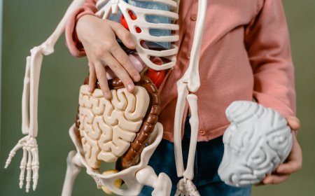 Bongkar Mitos Detoks Otak: Fakta Sistem Glymphatic Saat Tidur Detoksifikasi Optimal