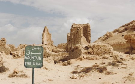 Menyelami Jejak Ekonomi dan Sosial Kota Pelabuhan Srivijaya