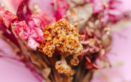 Cara Mudah Membuat Buket Mini Bunga Kering untuk Souvenir Pernikahan