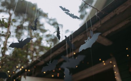 Jangan Pernah Tatap Aurora Borealis di Malam Tergelap