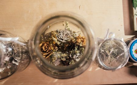 Tips Merawat dan Menyimpan Bunga Kering Agar Tidak Berjamur