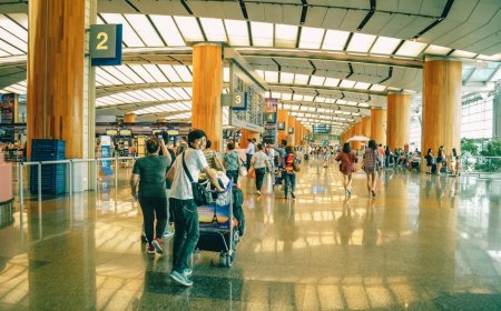 Panduan Aman Membawa Hewan Peliharaan Eksotis ke Luar Negeri