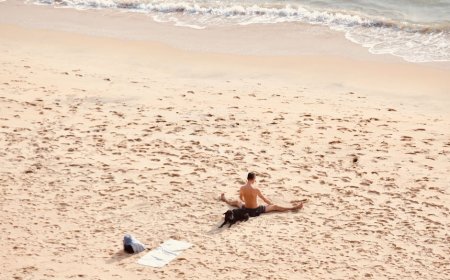 Panduan Mengurus Dokumen Kesehatan Hewan Eksotis Sebelum Terbang ke Luar Negeri