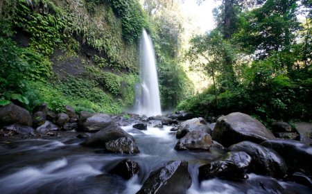Jelajah Sumber Protein Nabati Liar di Alam Indonesia