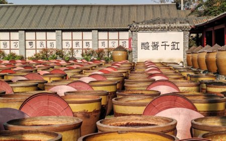 Mengungkap Fermentasi: Kekuatan Kuno Mengubah Makanan, Kesehatan, dan Peradaban Dunia