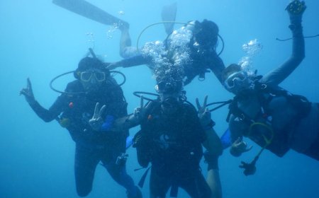 Panduan Menyelam Aman Menjelajah Hidden Gems Perairan Indonesia