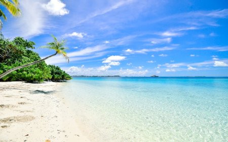 Cara Investasi Awal di Proyek Tokenisasi Resor Mewah Maldives