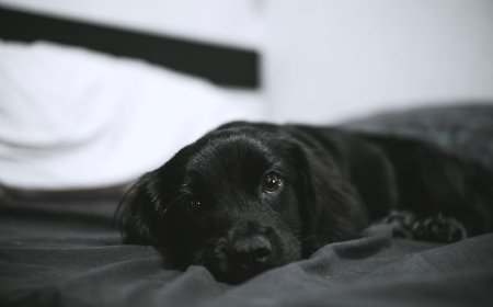 Bongkar Mitos EDCs! Tidur Malam Aman dari Produk Rumah Tangga dan Kosmetik