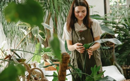 Investasi Berkelanjutan: Peluang Untung dan Dampak Positif ala HM Sampoerna