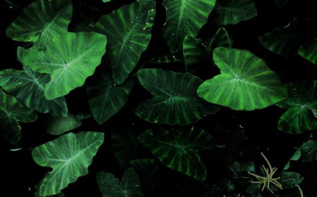 Rahasia Pakaian Dalam Tencel Bikin Kamu Bebas Gerah Sepanjang Hari