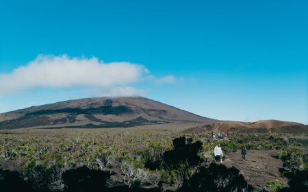 Menjelajah Jalur Pendakian Gunung Sambil Aman dari Satwa Liar
