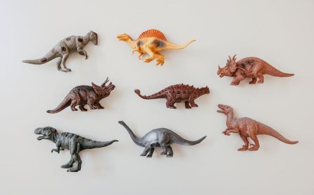 Petualangan VR Seru di Museum Prasejarah Indonesia untuk Anak