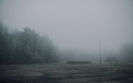 Suara Mengerikan di Hutan Memburu Sang Pemburu