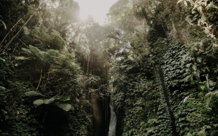 Bali Anti-Mainstream: AI Rancang Petualangan Unik, Temukan Surga Tersembunyi!