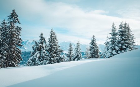 Mitos Tidur Malam Nyenyak: Bongkar Fakta Gizi Pemicu Melatonin Optimal