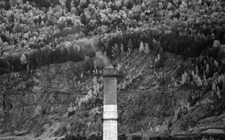 PHK Massal Amazon Pecahkan Rekor, Ribuan Insinyur Terdampak Meski Butuh Inovasi Cepat