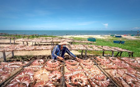 Tidur Malam Lebih Nyenyak? Bongkar Mitos Omega-3 dan Antioksidan Lawan Inflamasi
