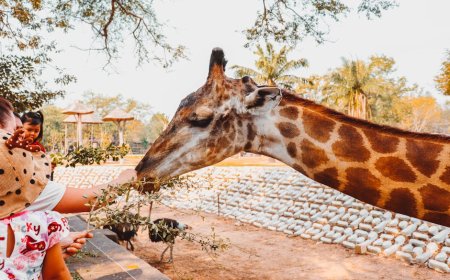 Wisata Edukasi Satwa Langka Seru dan Interaktif untuk Anak