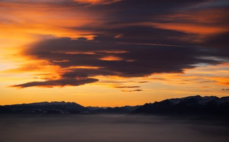 Saudaraku Kembali Dari Pegunungan Tapi Bukan Lagi Dirinya