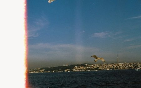 Hollywood Jenuh Franchise? Frankenstein & Nosferatu Bawa Angin Segar Film Orisinal!