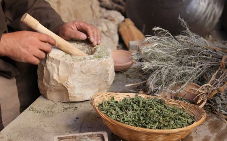 Pengobatan Kuno Polinesia Mengungkap Rahasia Etnobotani dan Farmakope Laut Mereka