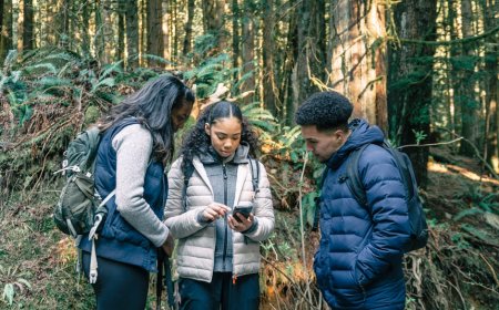 Panduan Digitalisasi Arsip Keluarga untuk Perjalanan Ancestry Seru