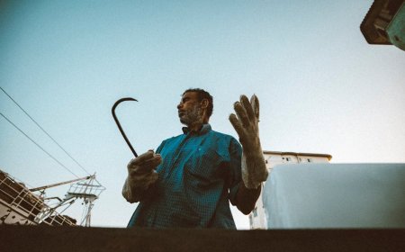 Foto Pemenang Nature inFocus Awards 2024: Intip Keindahan Alam yang Memukau!