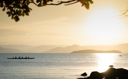 Rahasia Kelapa dan Pandan Penentu Keberhasilan Pelayaran Polinesia Kuno