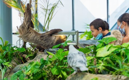 Panduan Hidden Gems Permainan Edukatif Satwa di Wisata Anak Jogja