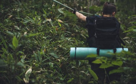 Checklist Survival Anak Eksplorasi Hutan Indonesia yang Wajib Dibawa