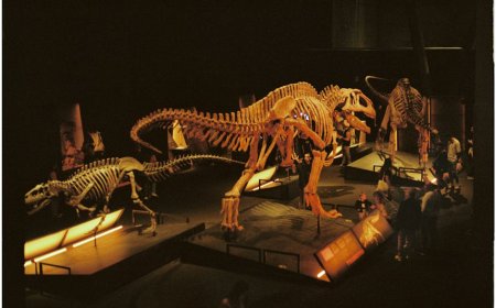 Serunya Jelajah Museum Sejarah Anak dengan Augmented Reality