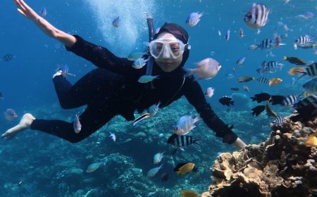 Panduan Cave Diving Aman untuk Pemula Temukan Destinasi Tersembunyi