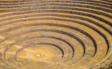 Membedah Pola Tanam Terasering Inca dan Diversifikasi Pangan Lokal