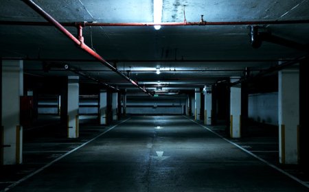 Misteri Kucing Masuk Basement Tengah Malam Bikin Merinding