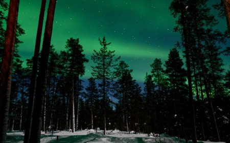 Radio Berbunyi Jam 03.07 Misteri Pencarian di Hutan Alaska