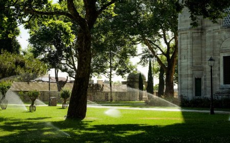 Melacak Sejarah Resolusi Konflik Air Kuno Subak Bali dan Acequias Spanyol