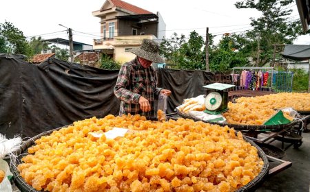 Tips Pilih Makanan Hewan Peliharaan Ramah Lingkungan dan Lokal