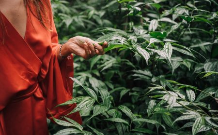 Panduan Eco-Adventure Bali: Temukan Surga Tersembunyi Ramah Lingkungan