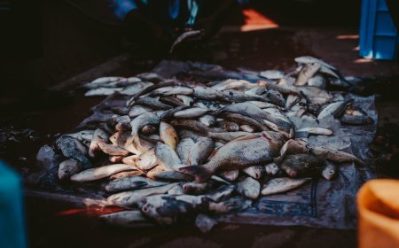 Panduan Seru Jakarta: Temukan Harta Karun Pop-Up Market dan Pengalaman Lokal Unik