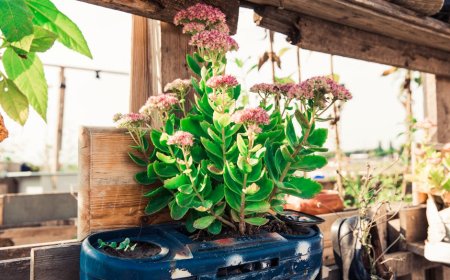 Redwood Materials PHK Karyawan Usai Raih Dana Besar, Ada Apa?