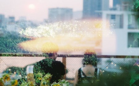 Hobi Baru Seru! Sulap Balkon Jadi Taman Mini Ramah Lebah