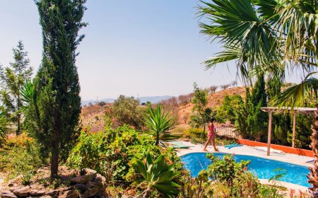 Petualangan Unik! Menginap di Rumah Pohon Mewah Tersembunyi Hutan Tropis Indonesia