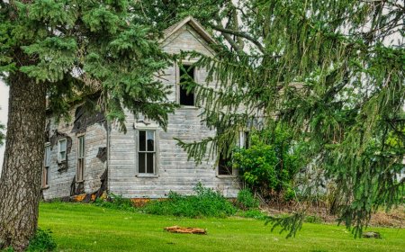 Jangan Kunjungi Minnesota: Para Jiwa Lapar Itu Masih Ada