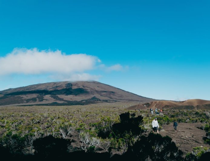 Menjelajah Jalur Pendakian Gunung Sambil Aman dari Satwa Liar