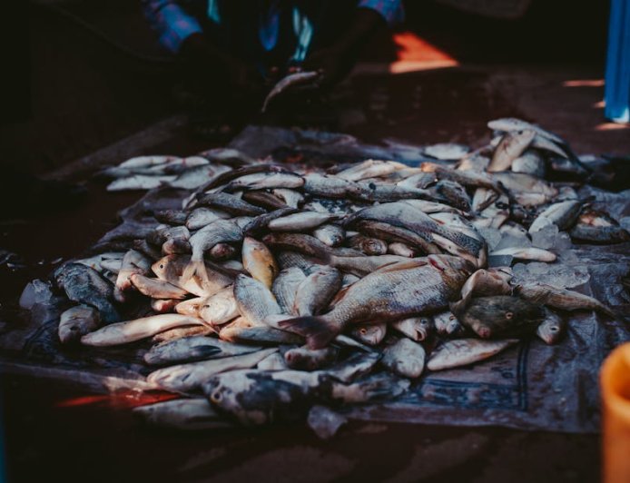 Panduan Seru Jakarta: Temukan Harta Karun Pop-Up Market dan Pengalaman Lokal Unik