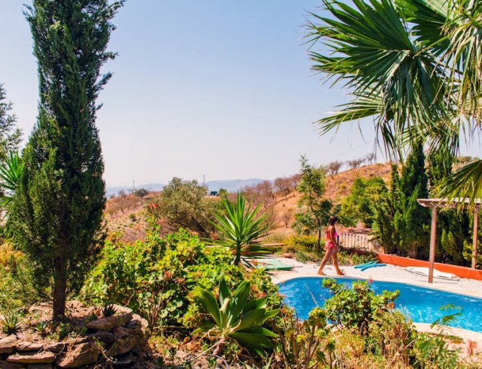 Petualangan Unik! Menginap di Rumah Pohon Mewah Tersembunyi Hutan Tropis Indonesia