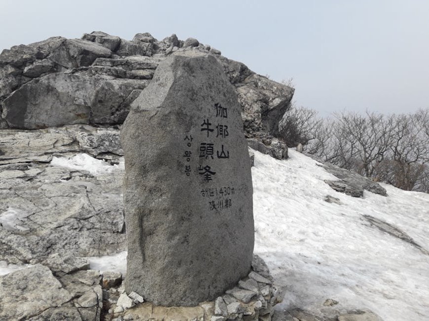 NVIDIA dan Korea Bersatu Kembangkan AI, Jensen Huang di KTT APEC