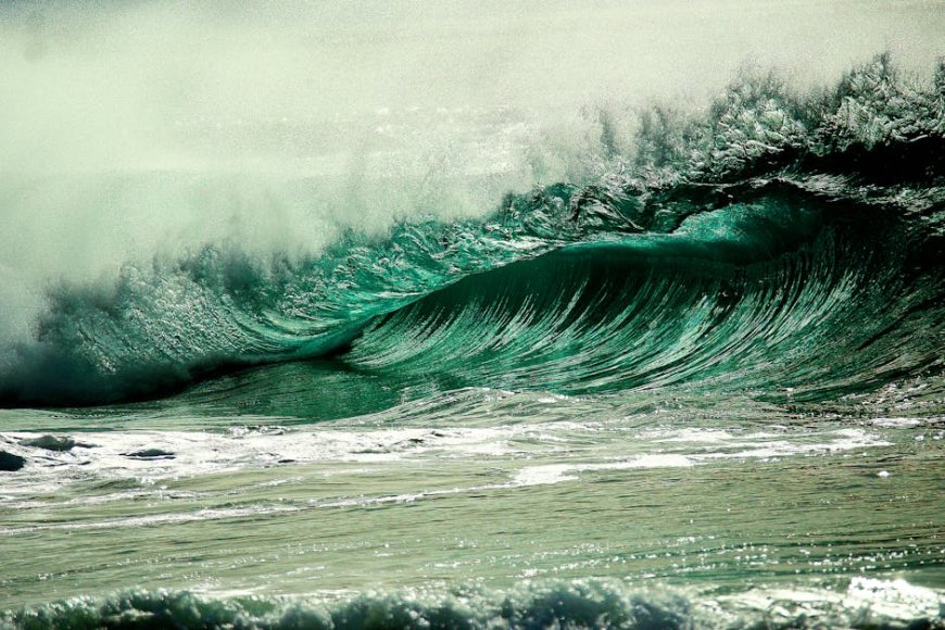 Cegah Cedera Hamstring! Optimalisasi Latihan dengan SMR dan Stretching Dinamis