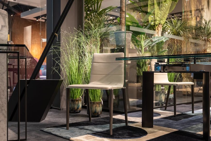 Tips Memilih dan Merawat Tanaman Indoor untuk Udara Segar dan Pikiran Tenang