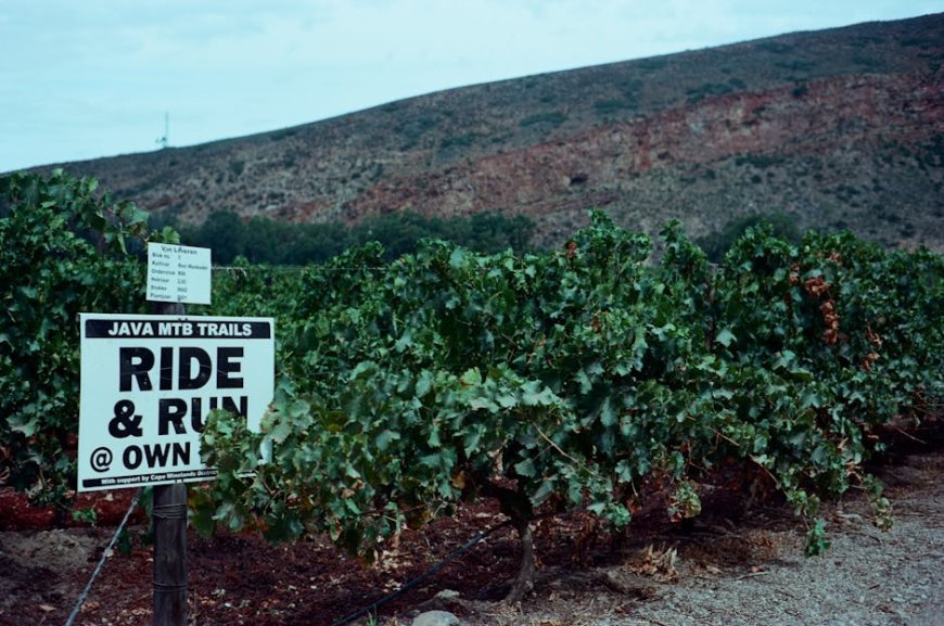 5 Jalur Sepeda Gunung Ekstrem di Jawa Barat Wajib Coba